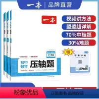 数学压轴+计算+语文五合一+英语阅读+听力 九年级 [正版]初中数学七年级数学压轴题2024初中数学有理数方程初一数学必