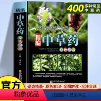 [正版]全书实拍精编中草药原色图谱图解中华汉方快速认药彩图版中草药学野外识别应用彩色图鉴中草药彩图大全书辞典对症图典书