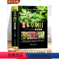 [正版]全书实拍本草纲目 精装中草药图谱本草纲目原版全套李时珍中草药彩图中医基础理论大全神农本草经李时珍全集中医养生书