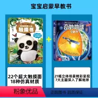 [两册]触摸书+奇妙地球立体书 [正版]宝宝触摸书 婴儿书早教益智玩具0到2-3岁绘本1岁半立体书宝宝书本撕不烂立体儿童