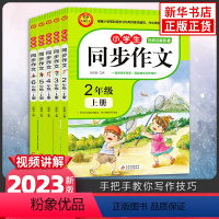 [套装5册]2-6年级上册 小学通用 [正版]2024新版同步作文上册下册RJ人教版二年级三年级四年级五年级六年级小学生