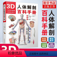 [正版]新书 3D人体解剖百科手册 人体解剖学彩色学图谱 物图谱解剖学医疗医学图谱入门书 西医解剖学外科医生学生用书