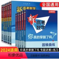 高考 [套装10册]新高考数学+练习册 [正版]2024适用新高考数学你真的掌握了吗 圆锥曲线数列与不等式平面几何立体几