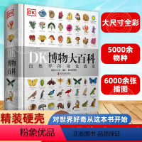 [精装3册 超大开本]博物+DK植物+DK生物大百科 [正版]DK博物大百科中文精装版大开本超厚儿童动物植物生物万物百科