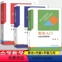 [全套3册]数论/平面几何/代数 高中通用 [正版]数论入门从故事到理论 代数不等式证明方法解析几何竞赛读本 中学数学概