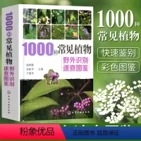 [正版]1000种常见植物野外识别速查图鉴 杨辉霞 家庭书籍野外识别原植物鉴别图册中国常用手册 图识别与应用图典图谱