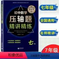 [套装3册]数学压轴题试卷精编 七八九年级 初中通用 [正版]初中数学压轴题精讲精练试卷精编七年级初一数学同步专项训练
