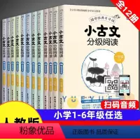 [12册]小古文分级阅读 1-6年级 小学通用 [正版]小学小古文分级阅读一二三四五六年级123456年级上下册人教版小