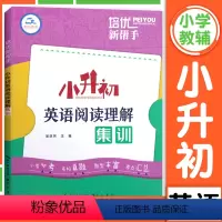 小升初英语阅读理解集训 小学升初中 [正版]培优新帮手小升初英语阅读理解集训 英语阅读理解解题技巧小学英语常考词汇语法专