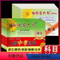 2024模拟强化测试精编[全套10册] 九年级/初中三年级 [正版]2024灿烂在六月上海中考语文数学英语物理化学试卷+