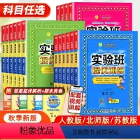 江苏专用-语文+数学+英语 三年级下 [正版]2024春实验班提优训练一年级下二年级下册三四五六年级下册上册语文数学英语