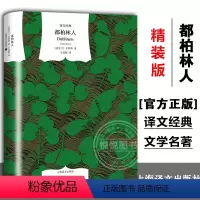 [正版]译文经典都柏林人 乔伊斯著/王逢振译 爱尔兰文学 上海译文出版社 初高中学生课外阅读 名家名译世界名著文学外国