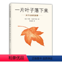 一片叶子落下来 关于生命的故事 [正版]一片叶子落下来关于生命的故事 3-6岁儿童书籍图画书幼儿早教故事课外图书籍绘本亲