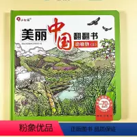 美丽中国翻翻书.动植物上 [正版]儿童立体书撕不烂动物植物探索自然奥秘1-2-3-4-5岁美丽中国翻翻书2绘本3早教启蒙