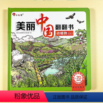 美丽中国翻翻书.动植物上 [正版]儿童立体书撕不烂动物植物探索自然奥秘1-2-3-4-5岁美丽中国翻翻书2绘本3早教启蒙