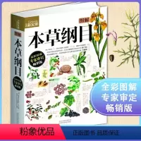 [正版] 图解本草纲目 中草药李时珍版中草药彩图 中药材书籍中草药图解中医书籍 河北科学技术出版社