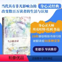 [正版]书籍当下的力量(珍藏版)堪称心灵读物经典,心灵领域作家张德芬,全球500多万册!心灵疗愈励志正能量书
