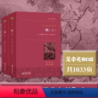 [正版]书籍飘 上下全套2册 米切尔著 又名乱世佳人 世界十大名著之一 名家全译本 中南大学教授黄健人权威译作 完美典