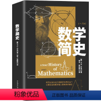 [正版]书籍数学简史 讲述数字系统和数字符号、算术、代数、几何学以及三角学的历史关系 用历史的方式开启数学世界的大门