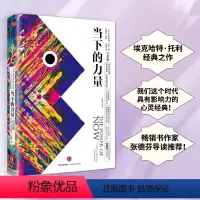 [正版]书籍当下的力量(白金版)身心灵大师埃克哈特·托利经典之作 我们这个时代具有影响力的心灵经典 张德芬导读