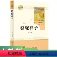 骆驼祥子(未删减版) 七年级下 [正版]骆驼祥子 七年级下 名著阅读课程化丛书 导读版 人民教育出版社