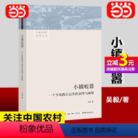 [正版]直营小镇喧嚣 一个乡镇政治运作的演绎与阐释吴毅以迎检开发收税征地维权等故事讲述基层政权村级组织和农民的博弈共生