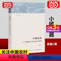 [正版]直营小镇喧嚣 一个乡镇政治运作的演绎与阐释吴毅以迎检开发收税征地维权等故事讲述基层政权村级组织和农民的博弈共生