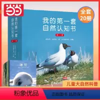全20册 [正版]我的第一套自然认知书(第一辑,全20册)