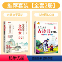 [全套2册]文学常识+古诗词120首 小学通用 [正版]小学必背文学常识积累大全彩图版一二三四五六年级语文文学常识基础知