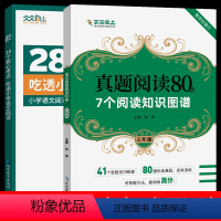 [三年级丨全2册]核心考点+真题阅读80篇 小学通用 [正版]28个核心考点吃透小学语文阅读一二三四五六年级人教版阅读理