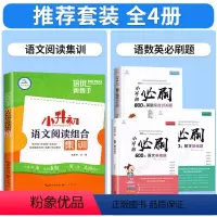 [升学必练!全套4册]语文阅读+小升初语数英必刷题 小学升初中 [正版]小升初阅读理解专项训练语文阅读组合集训人教版六年