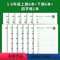 1-6年级上下册各1本+田字格1本[共13本] [正版]减压同步字帖每日30字一年级字帖练字上册语文同步练字帖小学生二三