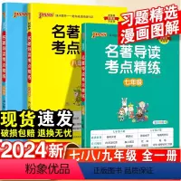 中考版名著导读考点精练 九年级/初中三年级 [正版]2024初中名著导读考点精练七八九年级必读名著阅读理解中考课外考点总
