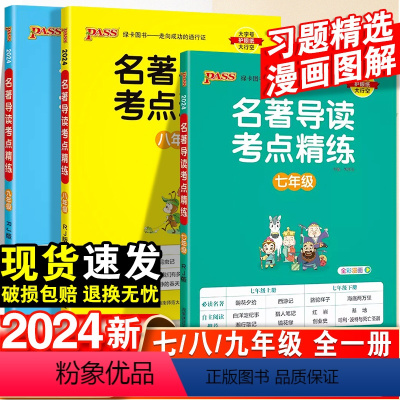 中考版名著导读考点精练 九年级/初中三年级 [正版]2024初中名著导读考点精练七八九年级必读名著阅读理解中考课外考点总