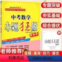 中考数学·人教版[提优版] 全国通用 [正版]恩波教育 中考数学小题狂做提优版 初三九年级中考总复习数学专题突破滚动强化