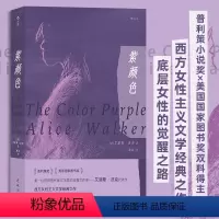 [正版]紫颜色 艾丽斯沃克著 西方女性主义文学经典之作 女性主义电影原著 外国文学小说 普利策小说奖作家 斯皮尔伯格指