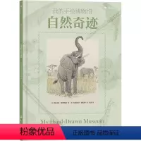 自然奇迹(精) [正版]12册任选浪花朵朵 我的手绘博物馆12册 7岁以上科普百科童书 海洋生物+自然qi迹+果蔬+