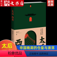 [正版]太后西奔:帝国晚期的仓皇与激荡 谭木声著 由慈禧太后西狩看懂晚清二十年 入选2024得到年度书单TOP15 西