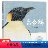 帝企鹅--暖心育儿日记 [正版]帝企鹅 信谊图画书奖系列南极科普儿童绘本自然亲子读物生命故事书3-8岁极地迁徙早教少儿图