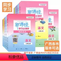 数学 湘教版 九年级 [正版]2024广西初中新课程学习与测评同步学习七八九年级上下册语文数学英语物理化学道德历史生物地