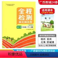 数学B版(苏教版) 六年级下 [正版]2024春广西小学全程检测六年级下册数学B版苏教版单元测试卷 广西6年级教辅单元期