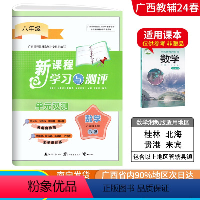 数学B版(湘教版) 八年级下 [正版]2024春广西初中新课程学习与测评单元双测八年级下册数学B版湘教版新版 广西初二8