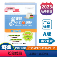 道德与法治A版(人教版) 九年级 [正版]2023秋初中新课程学习与测评单元双测九年级全一册道德与法治A版配人教版 广西