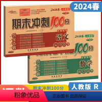 语文+数学(2本装) 六年级下 [正版]助学图书2024春期末冲刺100分六年级下册语文数学人教版英语外研版 小学6年级