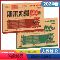 语文+数学(2本装) 六年级下 [正版]助学图书2024春期末冲刺100分六年级下册语文数学人教版英语外研版 小学6年级