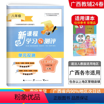 道德与法治A版(人教版) 八年级下 [正版]2024春广西初中新课程学习与测评单元双测八年级下册道德与法治A版人教版新版