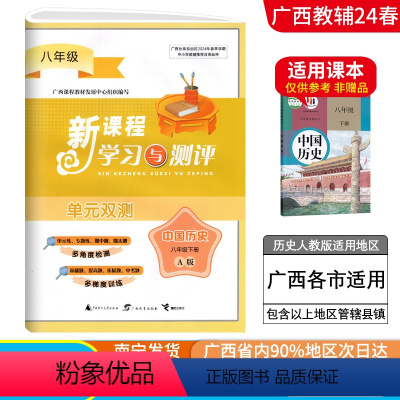 历史A版(人教版) 八年级下 [正版]2024春广西初中新课程学习与测评单元双测八年级下册历史A版人教版新版 广西初二8