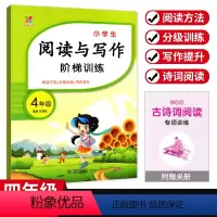 [阅读与写作阶梯训练] 小学四年级 [正版]小学生阅读与写作阶梯训练四年级上下册通用版 小学4年级语文阅读理解强化拓展训