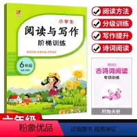 [阅读与写作阶梯训练] 小学六年级 [正版]小学生阅读与写作阶梯训练六年级上下册通用版 小学6年级语文阅读理解强化拓展训