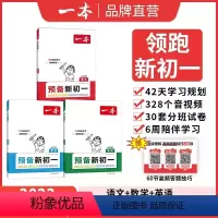 [小升初衔接3本装]语数英 小学升初中 [正版]2024小升初衔接预备新初一语文数学英语 小升初暑假作业六升七暑假衔接七